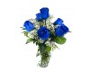 Half Dozen Blue Roses